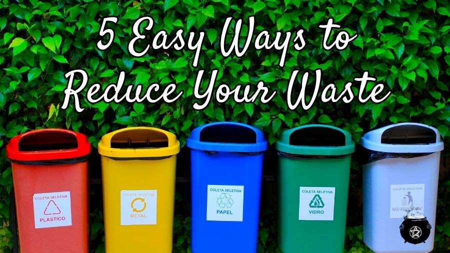 5 Simple Ways to Reduce Your Waste