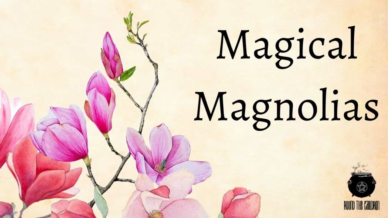 The Magic of Magnolias || Correspondences & Free Printable