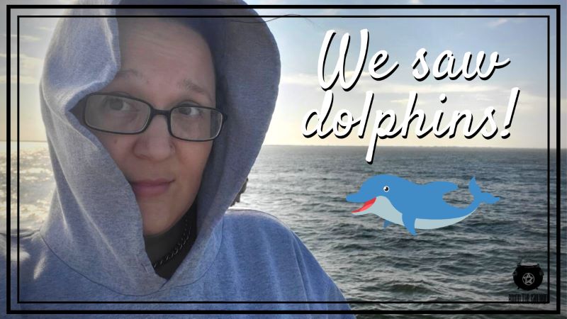 We saw a pod of dolphins! || Weekend Vlog – Day in the Life