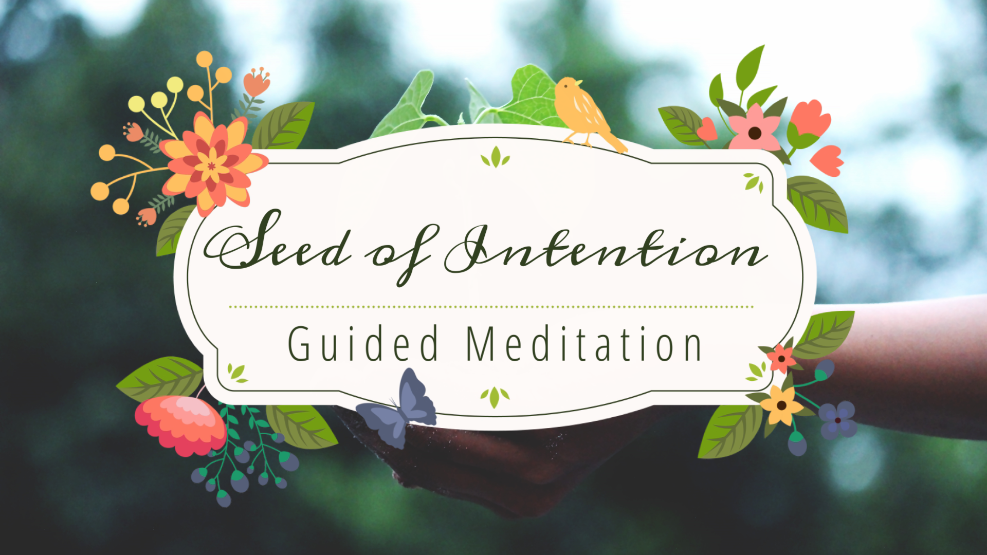 Seed of Intention Guided Meditation