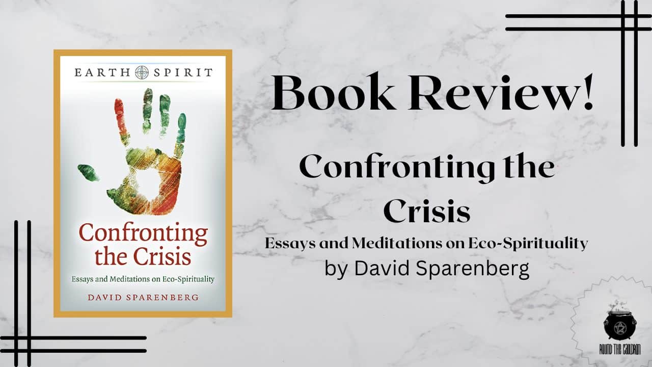 Book Review: Confronting the Crisis